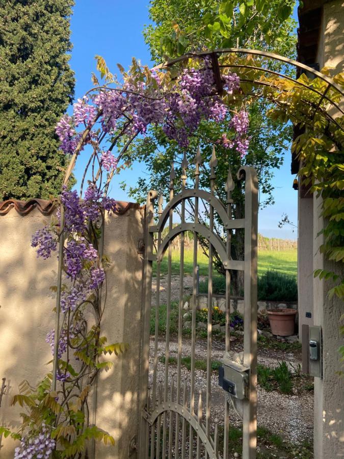 Monte Maino Bed & Breakfast Desenzano del Garda Dış mekan fotoğraf