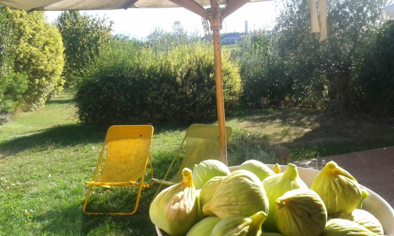Monte Maino Bed & Breakfast Desenzano del Garda Dış mekan fotoğraf